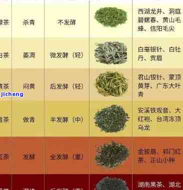 绿茶、红茶与乌龙茶：三大茶类的独特区别与比较解析