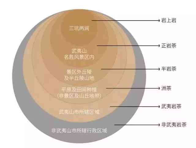 武夷岩茶与普洱茶的不同之处