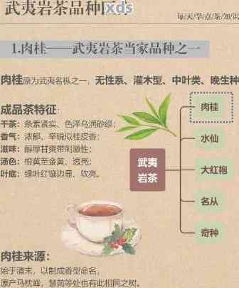 武夷岩茶与普洱茶的不同之处