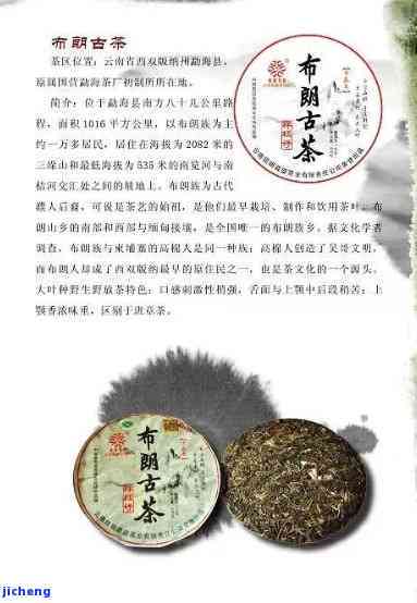 探索普洱茶8653的神秘魅力：一款独特茶叶的故事与品鉴指南