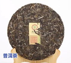 6381a普洱茶是什么意思