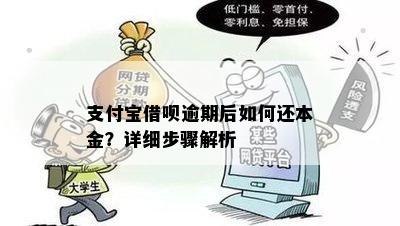 如何撰写借呗逾期协议书：详细步骤与要点解析