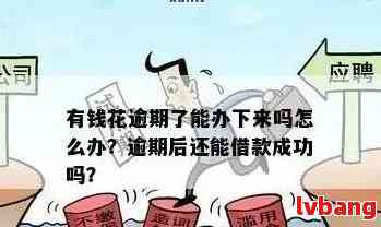 有当前逾期还能申请无还本续贷么？贷款可能性分析