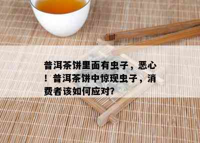 普洱茶饼包装袋：材质、尺寸、设计选择与使用指南