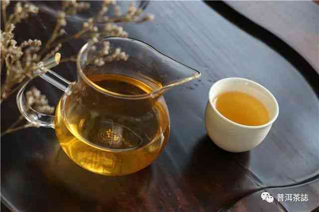 越喝越服的普洱茶是什么茶：解答普洱茶品鉴疑问，揭示喝后感背后的秘密