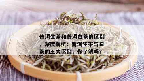 白茶与普洱茶：哪个更好？全面对比分析与选择建议