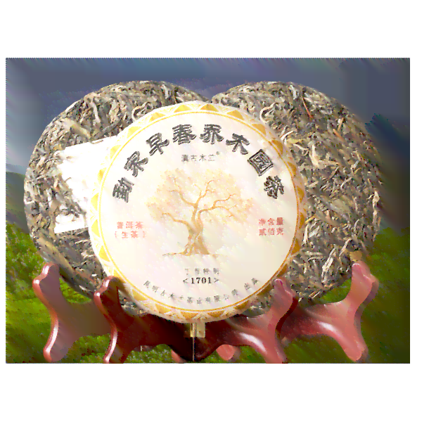 易武普洱茶生茶饼200g