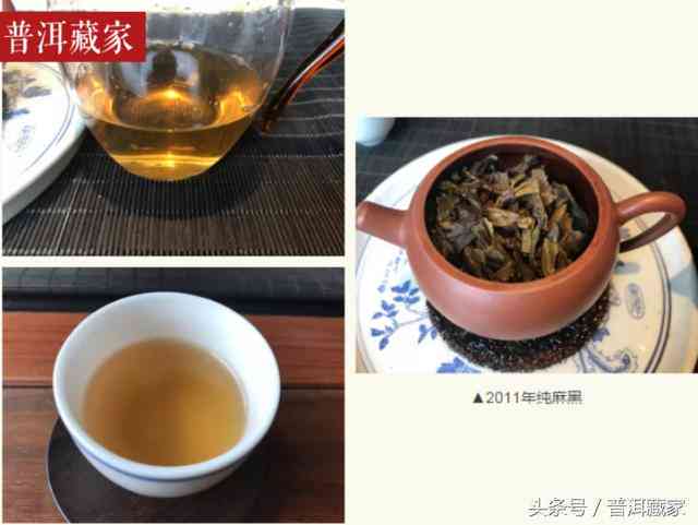 布朗金芽普洱茶价格：2008, 2018, XXXX年报价比较