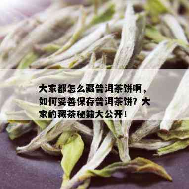 云南普洱茶饼子的完美存方法和实用技巧