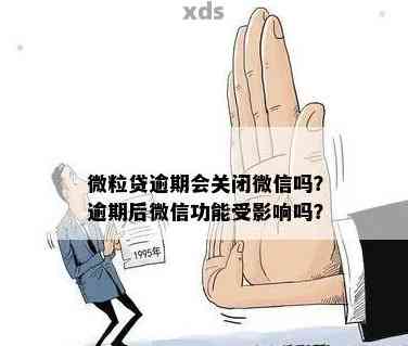 微粒贷逾期还款的严重后果：探讨应对策略与解决办法