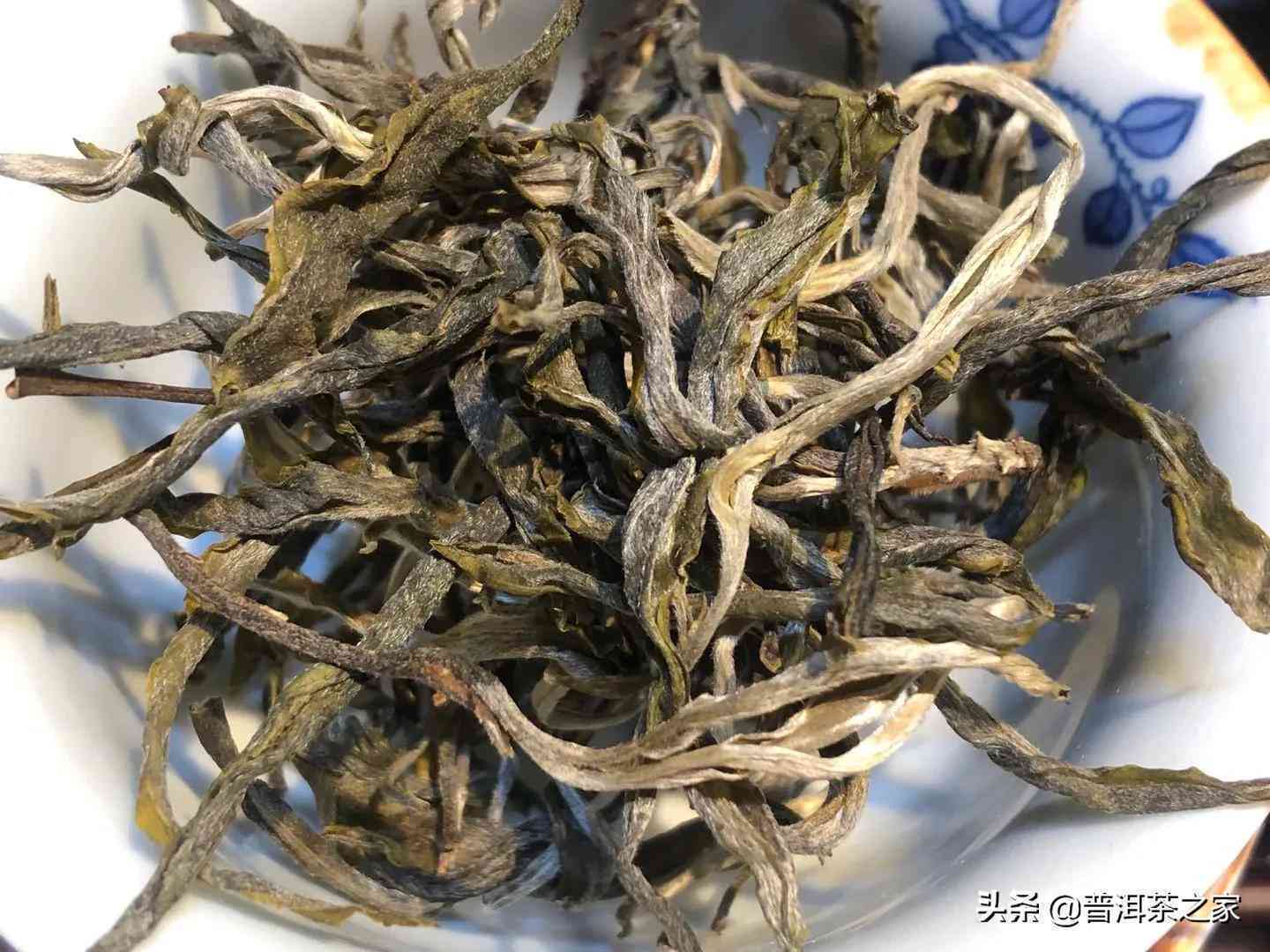 云南古树普洱春茶老曼峨生茶价格与品质详解，购买指南