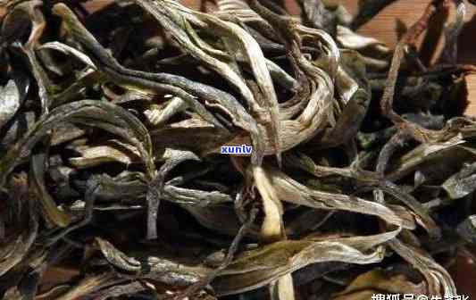 老曼峨普洱茶特点熟茶：价格与2019年回顾