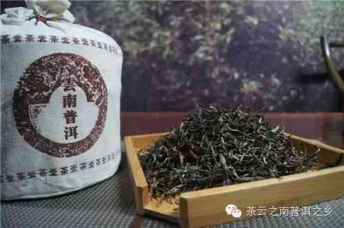 新普洱茶有机锗含量解析：为何高含量的有机锗不能喝？