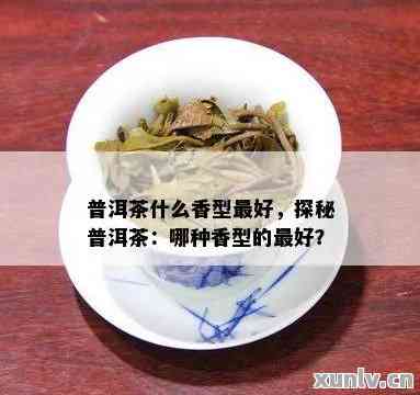 什么的普洱茶最香甜-什么的普洱茶最香甜又好喝