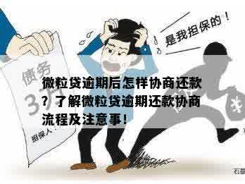 借呗和微粒贷还款协商：如何进行期、减免或分期偿还？