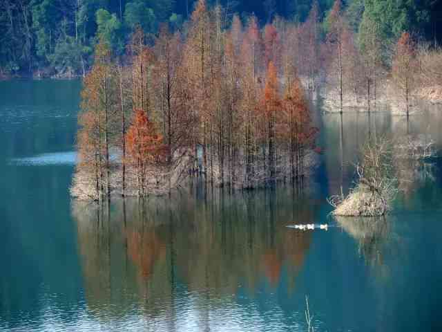 青海晴水与天山翠水：两者香味对比及选择建议