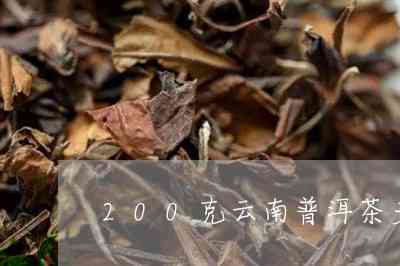 云南普洱茶200克多少钱一盒？