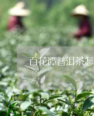 普洱茶百花潭有春茶和秋茶吗？哪个好？百花潭普洱茶得奖了吗？