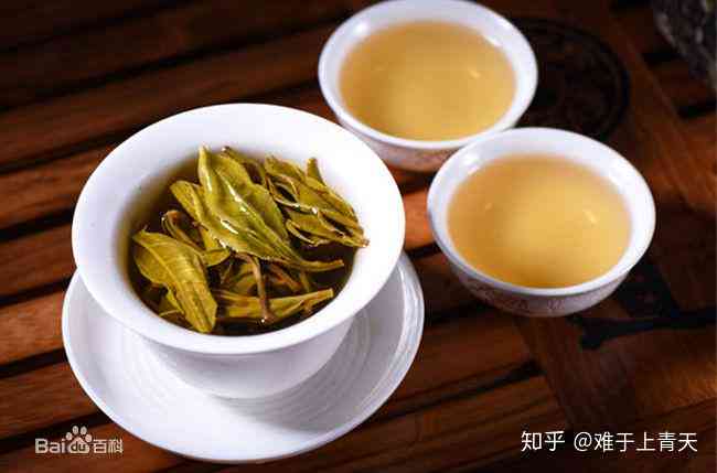 云南普洱茶是乌龙茶吗为什么