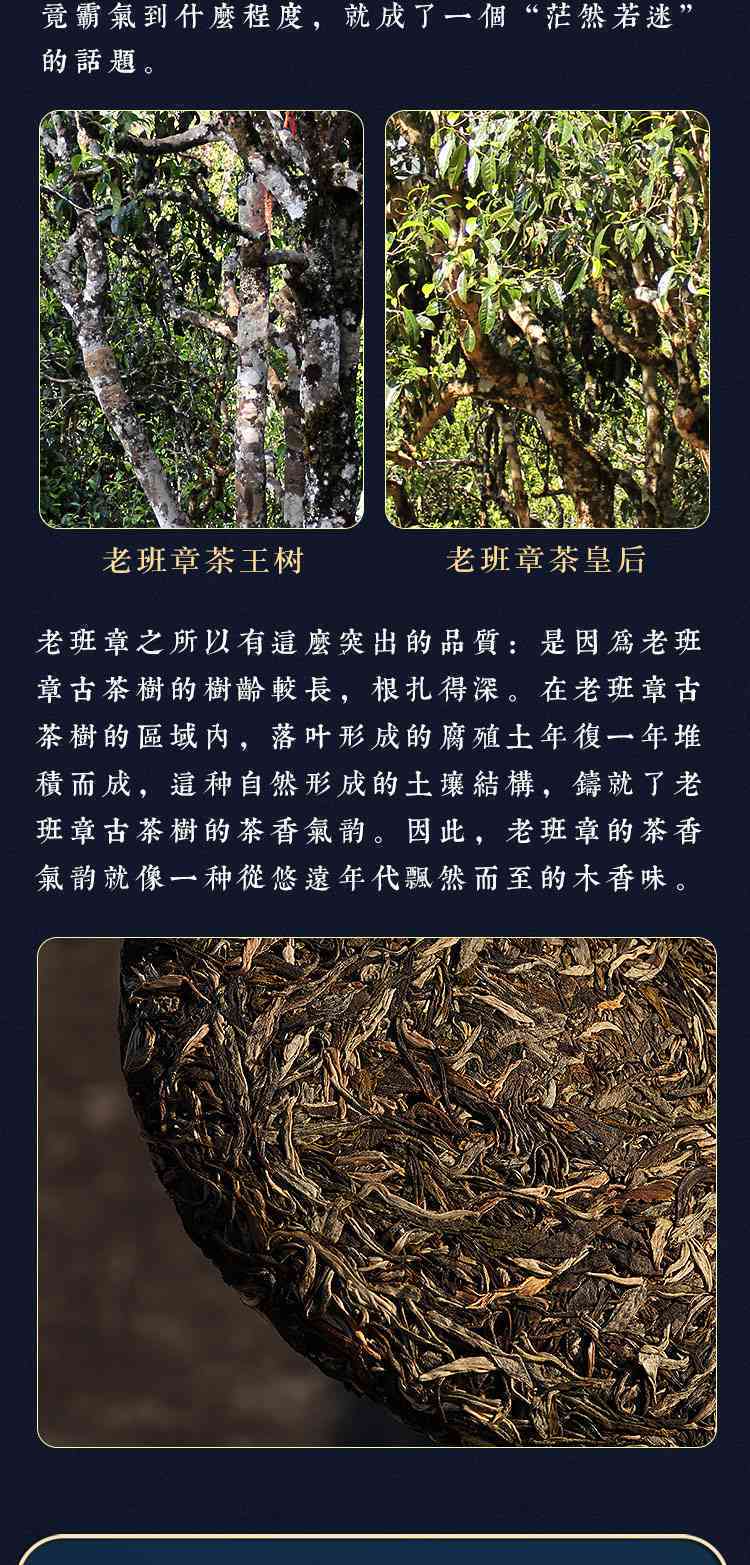 云南古树普洱茶饼价格参考：、产地及批发促销分析 - 货源