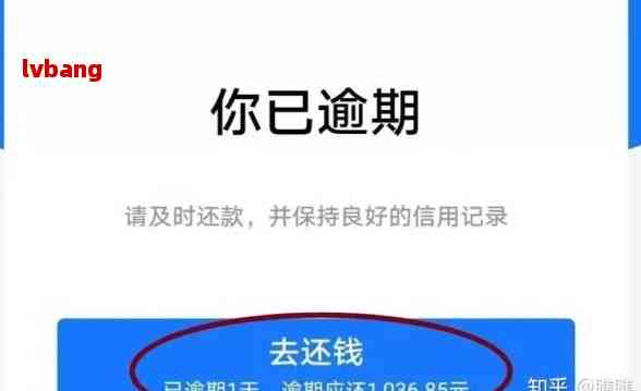 蚂蚁借呗逾期还款后能否再次借款以及安全性的评估