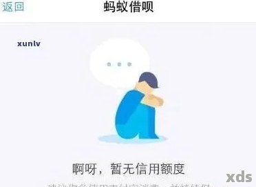 蚂蚁借呗逾期还款后能否再次借款以及安全性的评估