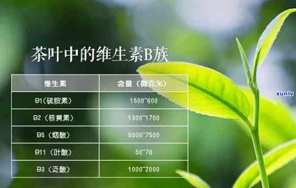 探究普洱茶中维生素A的含量及相关营养价值