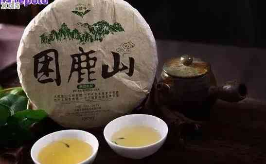 探索困鹿山生普洱茶的独特风味与品质