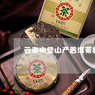 茶山哪里买普洱茶好呢多少钱