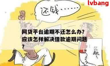 如何避免逾期还款？京东等电商平台的借款解决方案全解析！