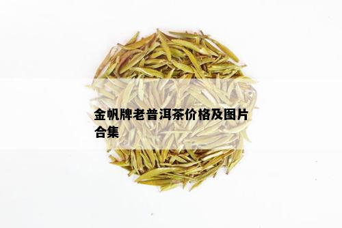 金帆牌普洱茶的市场行情与价值分析