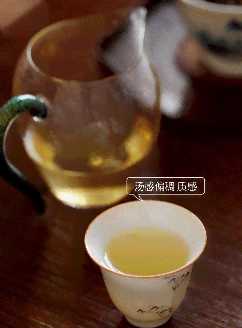 春茶普洱茶口感怎么样好喝吗