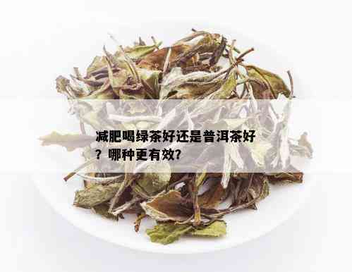 减脂适合喝绿茶还是普洱茶