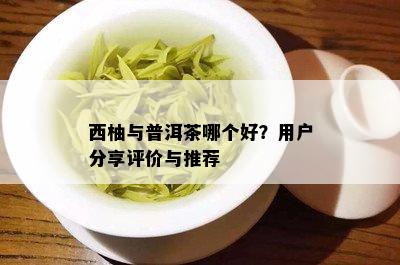 凤尾竹普洱茶属于哪里的产地