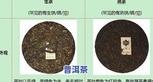 从原料到成品：普洱茶毛料筛选工序的全面解析及其对品质影响