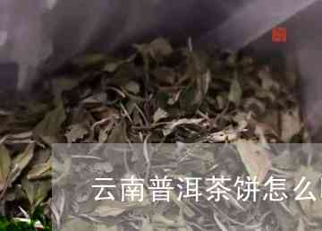 云南的普洱茶饼怎么喝才好喝