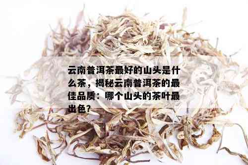 最值得买的山头普洱茶：哪种茶叶制作的？