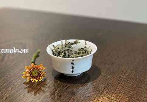 普洱茶冲泡方法与绿茶有异，直接饮用是否可行？