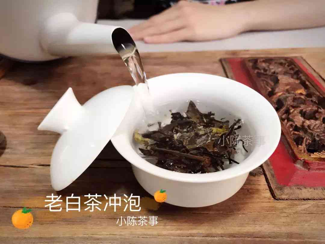 普洱茶能不能像绿茶直接喝