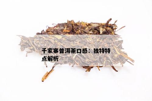 千家寨普洱茶：品味独特的特点与口感，全面了解这款茶的魅力