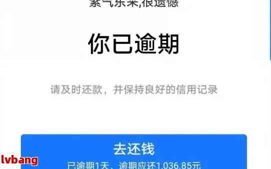 逾期还款七天后的借呗惩罚：你知道吗？