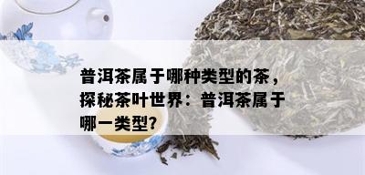 普洱茶的由来和发展历