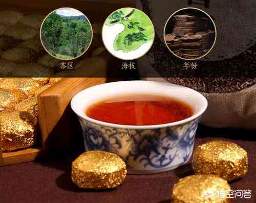 357克糯米香普洱茶：云南特色茶叶品种与价格对比分析