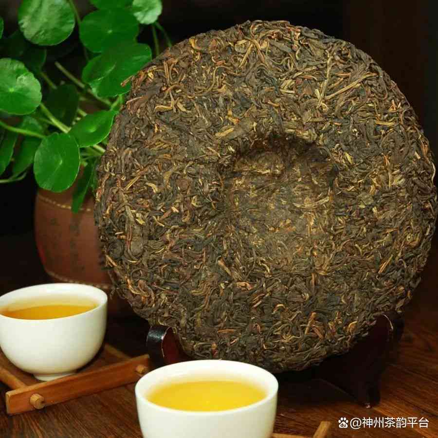 普洱茶饼357:一款具有悠久历与丰富文化底蕴的茶叶珍品