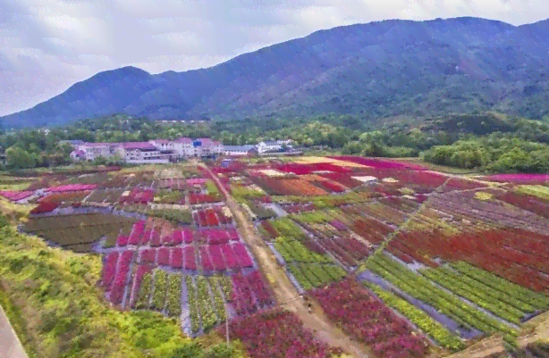 绵竹哪座山值得一游？了解绵竹山脉的特色与游玩攻略