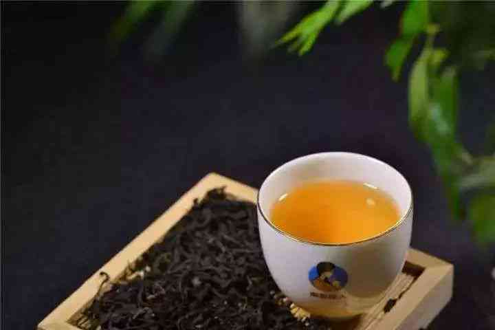 老九说茶教喝普洱茶的意思是什么？