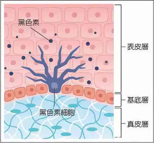 古玉为什么发黑的原因及变化：探究黑色素沉积及其他影响因素