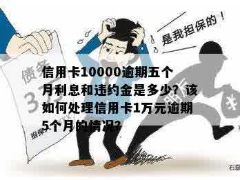 信用卡万用金逾期五天的影响与处理方法：两年逾期是否介入？