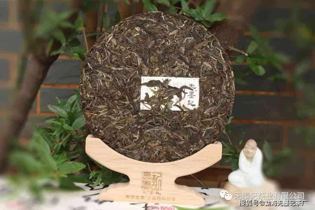 普洱茶底碎叶现象解析：正常还是品质问题？