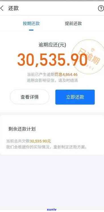 支付宝借呗还款期限灵活调整，逾期不再困扰你